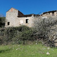 Dolors (@dolorsmadeo) 's Twitter Profile