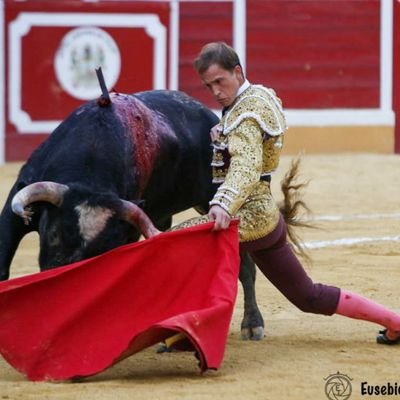 En la vida como en el toreo: valor y pureza.