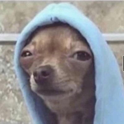 Will_STAKKALOT's profile picture. 