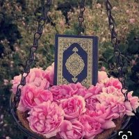 نور الهدى (@yqoawcd5yt9gghm) Twitter profile photo