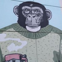 Becaflores💛💛💛 (@becaflores61) 's Twitter Profile