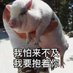 红绿灯警告 (@wian64171939) Twitter profile photo 红绿灯警告 (@wian64171939) Twitter profile photo