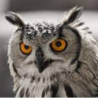 Zontegan (💙,🧡) 🛸 ⚙️ (@zontegan) 's Twitter Profile