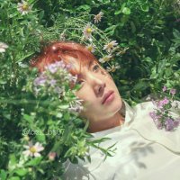 시 노 ✽.。.🍬 (@tae___bts07) 's Twitter Profile