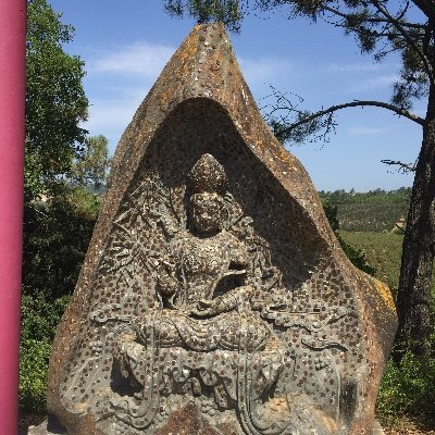 CsgofA's profile picture. 