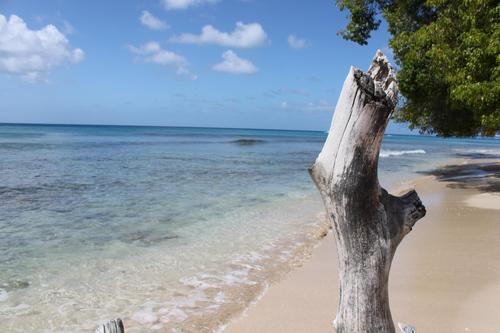 Pciciretto's profile picture. 