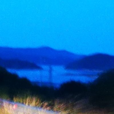 AMongiardi's profile picture. 