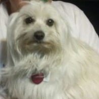 2018mischief49's profile picture. Marine Vietnam Veteran. God, Country, Family, Fellowman. #GodBlessAmerica
#FreedomMatters
#MAGA