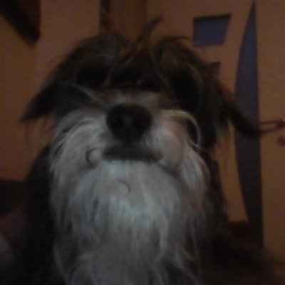 Josiane19901963's profile picture. 