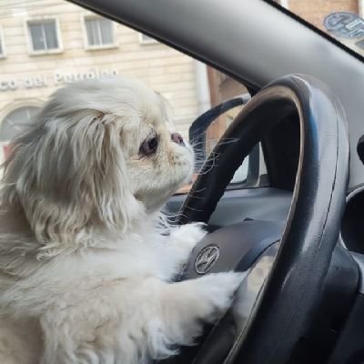 pbl692's profile picture. 