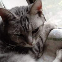 社長 (@5qwycazybs785m5) Twitter profile photo