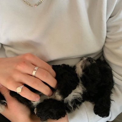 livrdrig's profile picture. @livsguitar