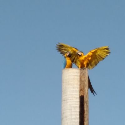 Leiriacg's profile picture. 