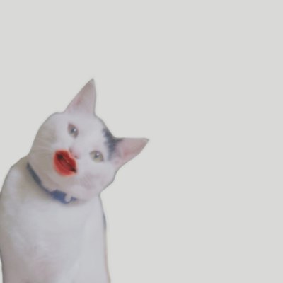Kanonさんのプロフィール画像