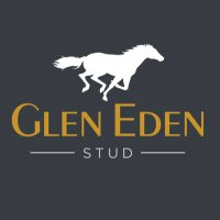 Glen Eden Stud (@glenedenstud) 's Twitter Profile