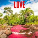 Spencer Elder - @SpencerElder4 - Twitter