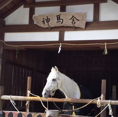 日本にいる普通の人
Just  a common person in Japan