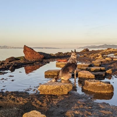 AbstrctJunction's profile picture. Been in my head, trying it out here.