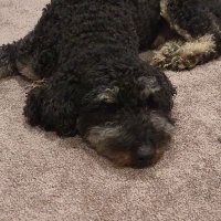 Mark Stewart (@markstewartnz) 's Twitter Profile