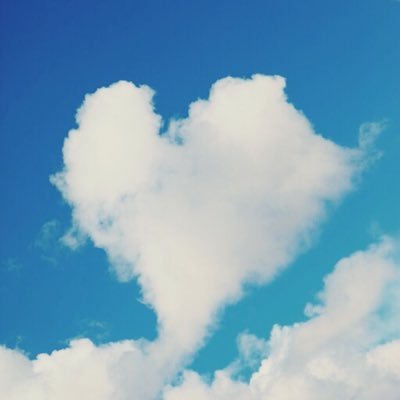 gardenbaseball's profile picture. 好き:野球、サウナ、ラーメン(岐阜メイン、マニアではない)  嫌い:仕事(ただしやり甲斐はある)