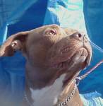 The20first's profile picture. Love music, Love life, and believe in change !!!