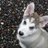 harnesspassion's profile image