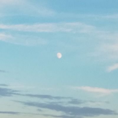 なむりんぐさんのプロフィール画像