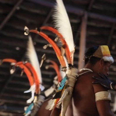 Dirigente Pueblo Maguta de la Amazonia Colombiana, actual Coordinador de Cambio Climático  en COICA, Secretario General en OPIAC, Co-Presidente IIPFCC