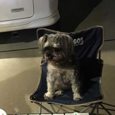 AtsushiSasaki_'s profile picture. PhD | Assistant Professor @UTokyo_News_en | Visiting Associate Professor @tut_tweet | Neuroscience | Motor Control | https://t.co/xiTPqtup5l |🇯🇵