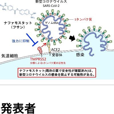 元金融マンのポスト団塊世代。気がつけばグローバリズムが日本を席巻。良き日本が壊れて行く事に憤慨すると共に其れを見逃していたことを反省。広島出身関東在住。