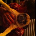 Chris Drew Fans - @ChrisIngleFans - Twitter