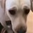 DeanDustyn's profile image