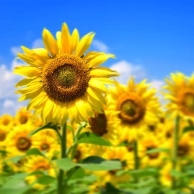 無言フォロー失礼します🙇♀️コードについては勉強中です💦環境に優しい製品を使うように頑張ります✨夢は動物の世話が好き、保護活動する事です😽🐰🐶
