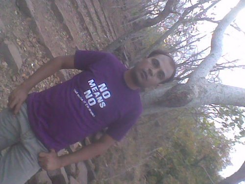 niksDprince's profile picture. Sr. Software Consultant.