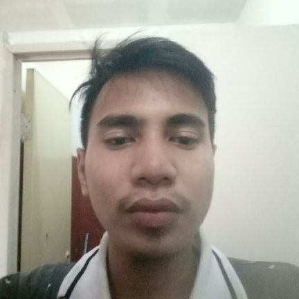 ruddinsyaf442's profile picture. Fikar
