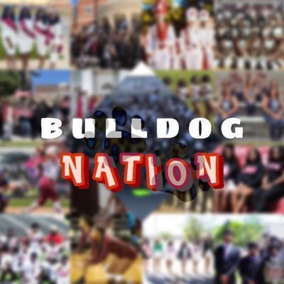 BULLDOGNATlON Profile Picture