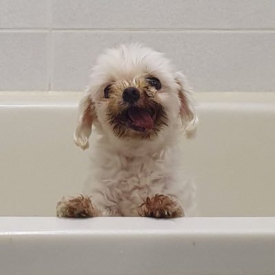 떡깅さんのプロフィール画像