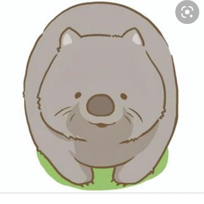 Shonan_Wombat Profile Picture