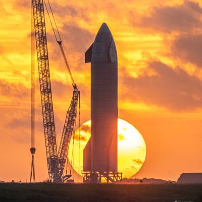 BV204820681's profile picture. NIL