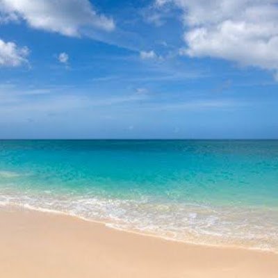 lvrtmcn's profile picture. 