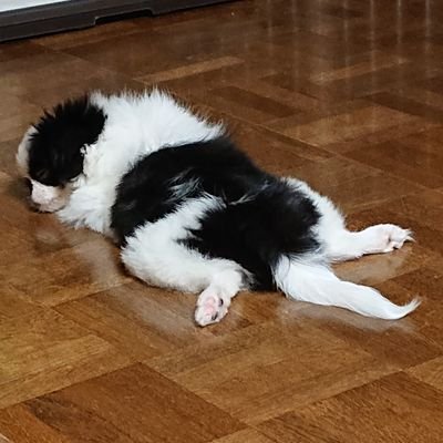 ミドリさんのプロフィール画像