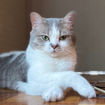 Top Tweets For 槇原敬之 On Twitter Twstalker