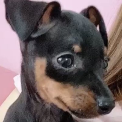 HMNKJJ407's profile picture. 