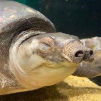 shimamura masari (@shimamuramasari) Twitter profile photo