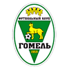 Fc_Gomel's profile picture. ФК Гомель основан в 1959 году. В высшей лиге - с чемпионата 1992 года (кроме 1995 - осень, 1996, 1997гг. и 2010).