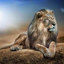 H8rxhhVJZs5rtdB's profile picture. 