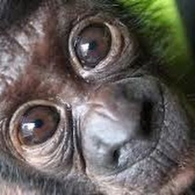 thebigpoonwall1's profile picture. Relax Trust Submit