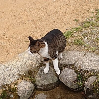 2025年1月17日にSBI証券にて不正アクセスの被害にあいました。
現在はADR、裁判に向けて準備を進めており、また同じ被害に遭った方を探しています。
メッセージにてご連絡ください。
