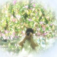 pinguino(@pinguin29566451) 's Twitter Profile Photo