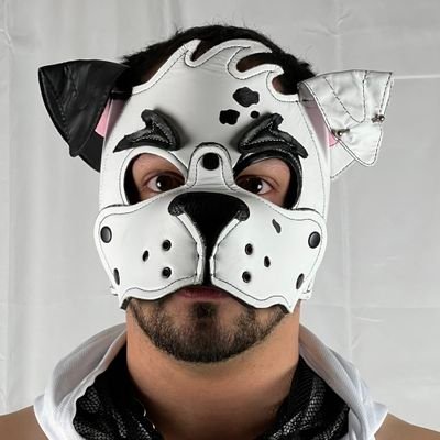DoggoStahl Profile Picture